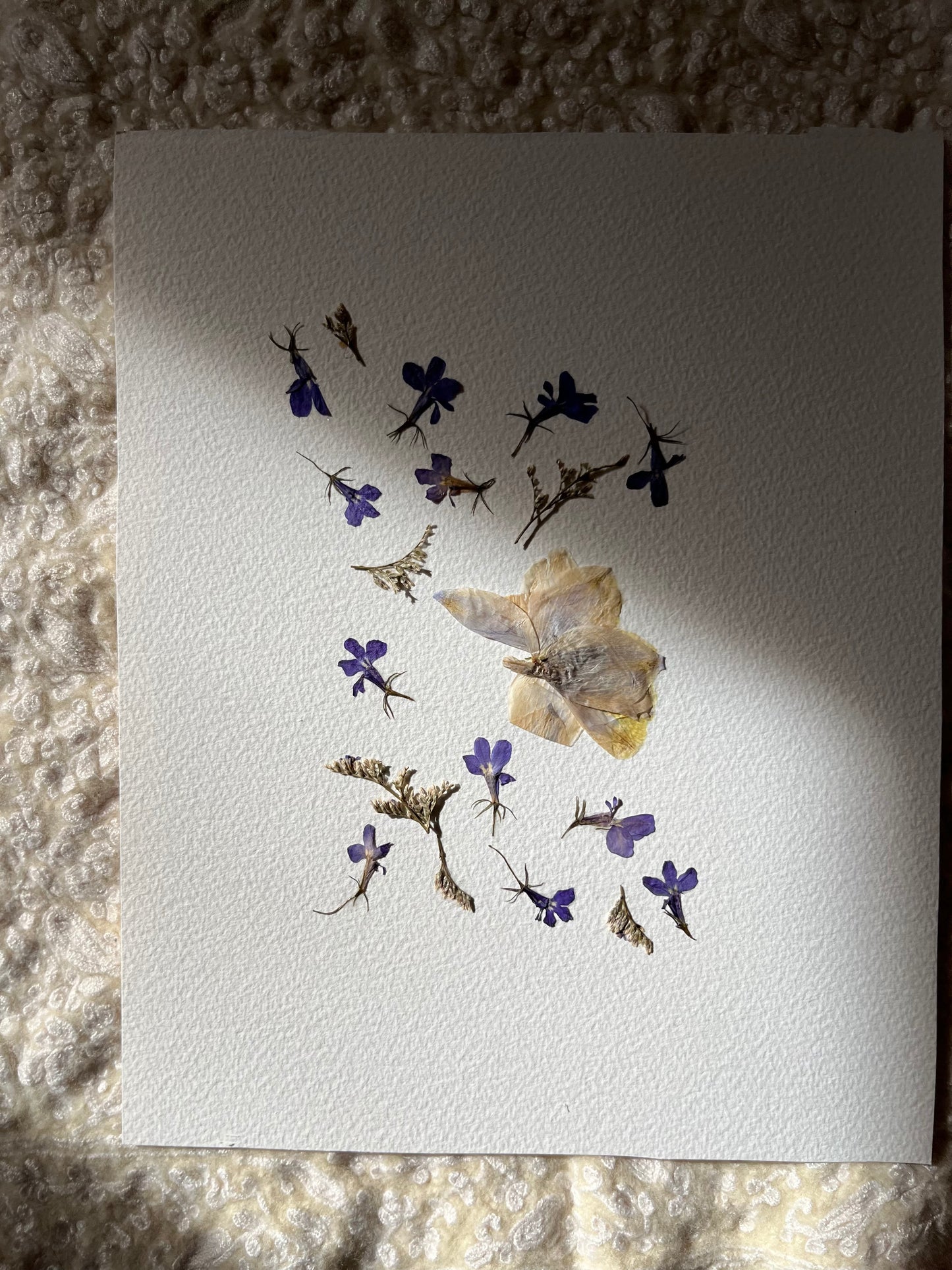 Youth and Adult Herbal Fire Starter and Wildflower Pressing Workshop