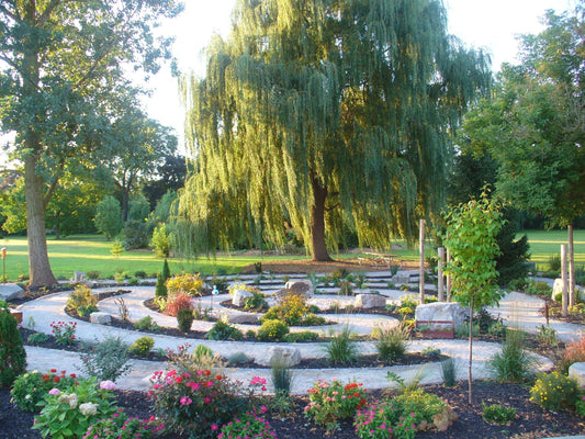 Horticultural Therapy Internship Announcement