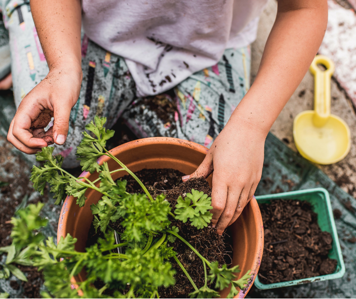 Family Potted Herb and Container Veggie Gardening 101 Workshop