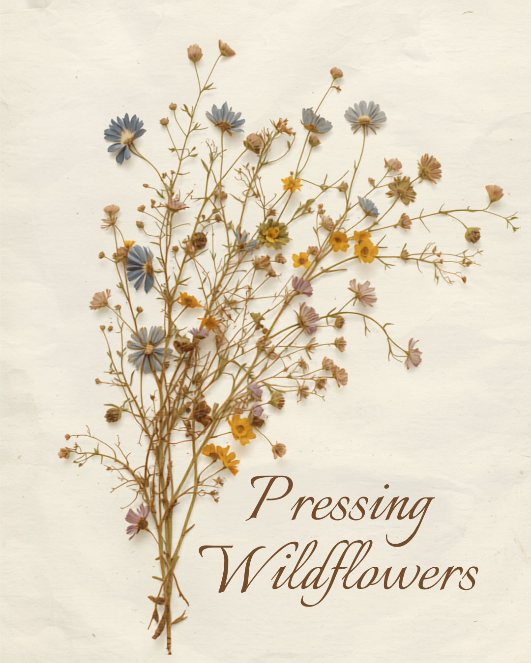 Youth and Adult Herbal Fire Starter and Wildflower Pressing Workshop