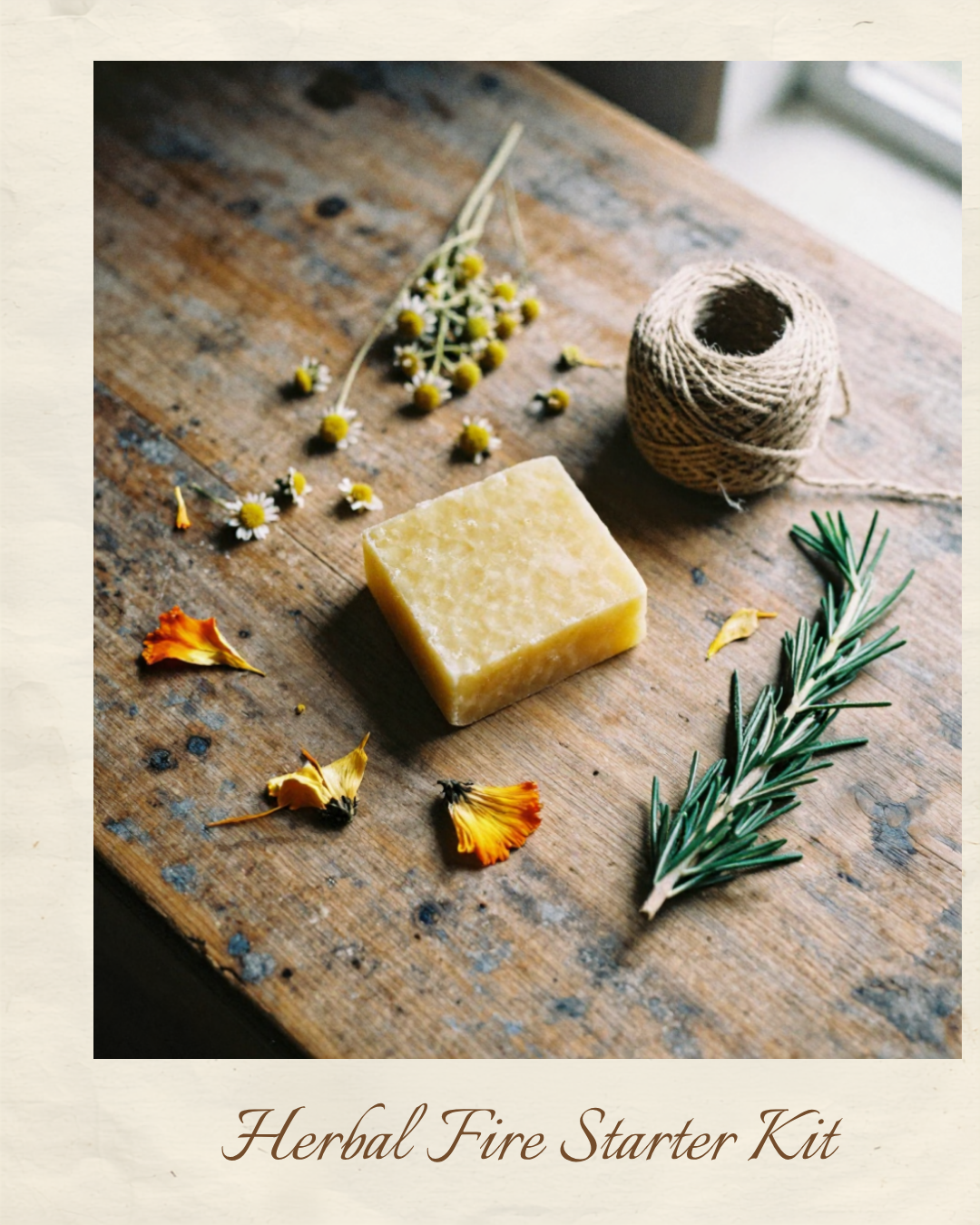 Youth and Adult Herbal Fire Starter and Wildflower Pressing Workshop